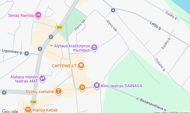 Alytaus dailės mokykla žemėlapis