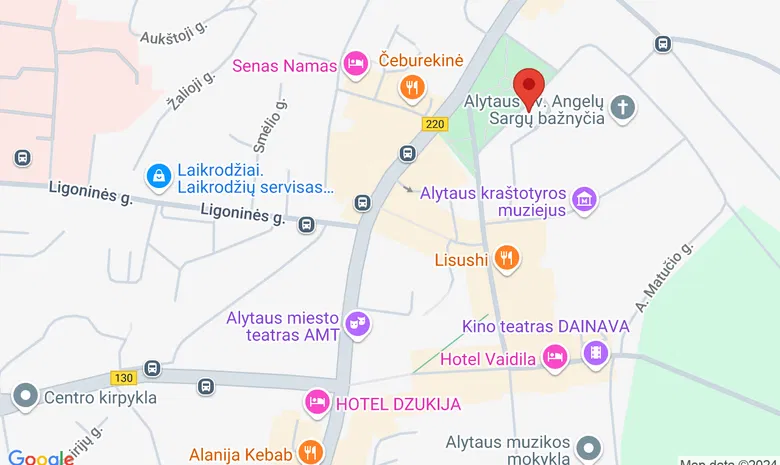 Alytaus bendradarbystės centras "Spiečius" žemėlapis