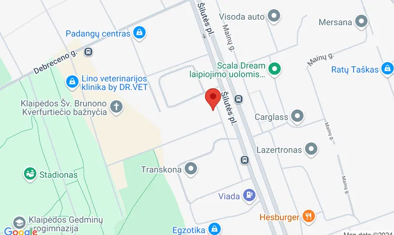 Teniso arena žemėlapis