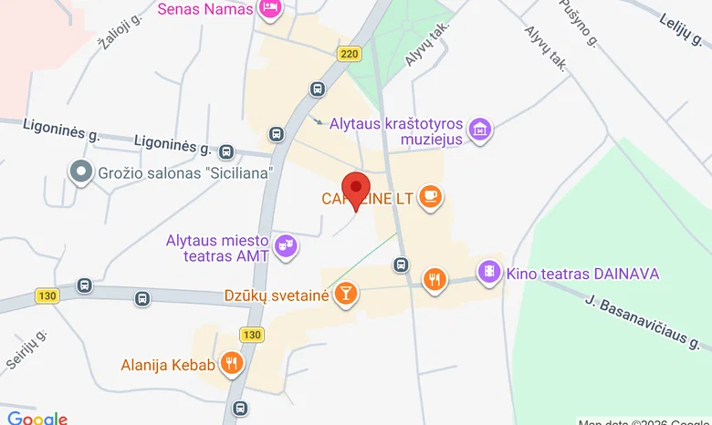 Alytaus rotušės aikštė žemėlapis