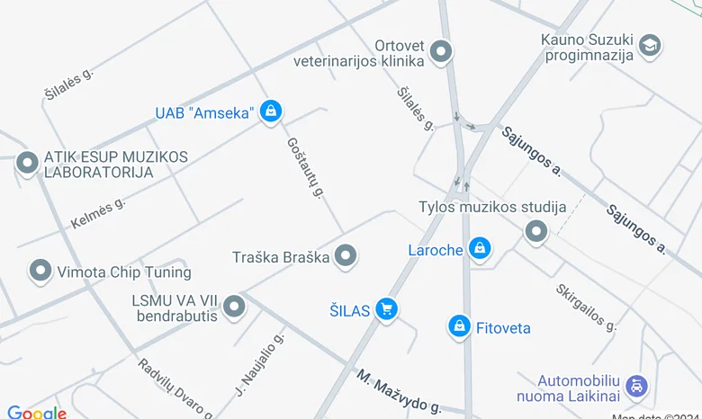 Kauno miesto Vilijampolės seniūnija žemėlapis