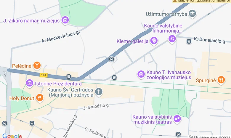 Meno ir kūrybos studijoje ,,Vyta" žemėlapis