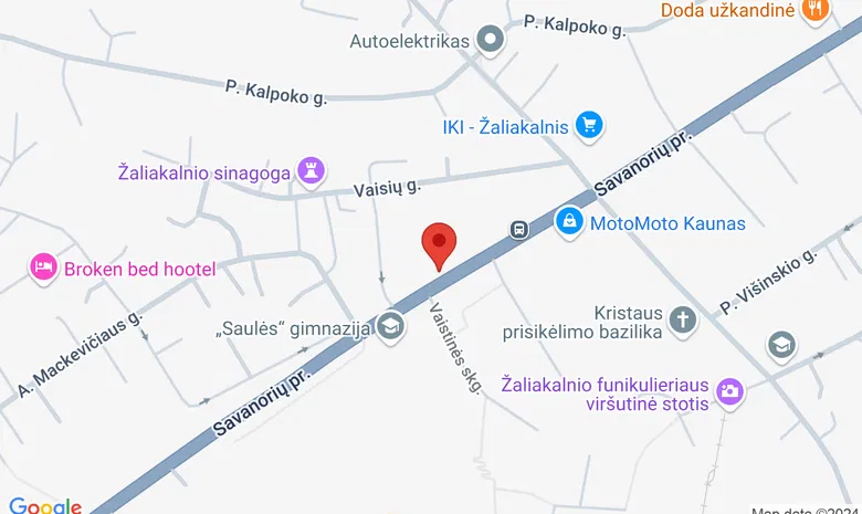 V. Bacevičiaus pradinė mokykla, Savanorių pr. 91 žemėlapis