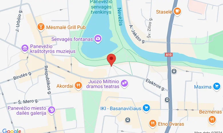 Kunigaikščio Aleksandro paminklas žemėlapis