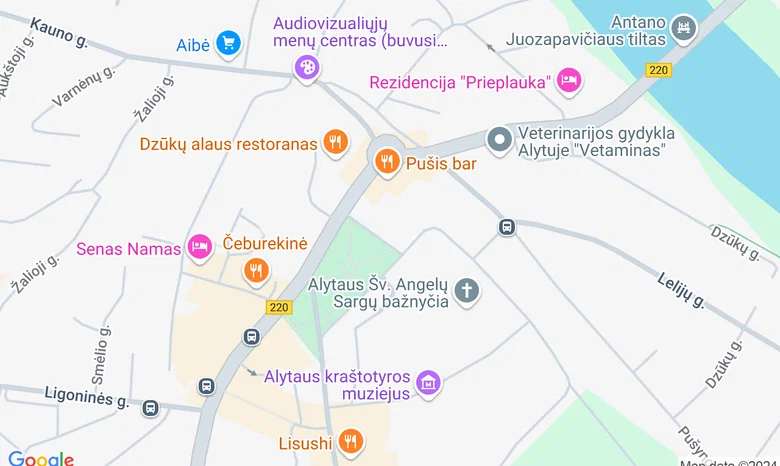 Švč. Mergelės emimo į dangų bažnyčia, Joniškis žemėlapis