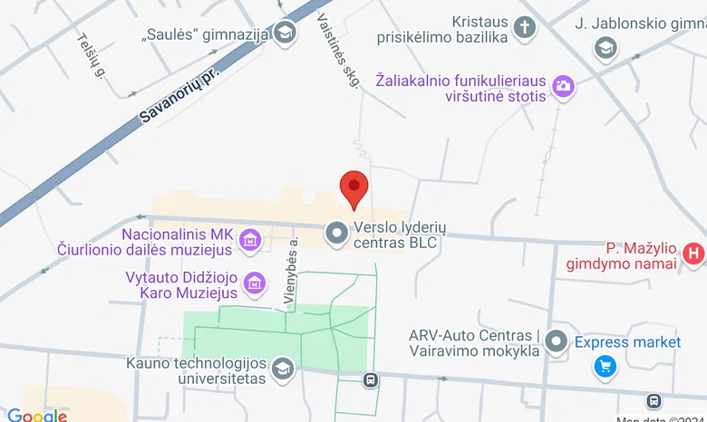 Putvinskio g 42 žemėlapis