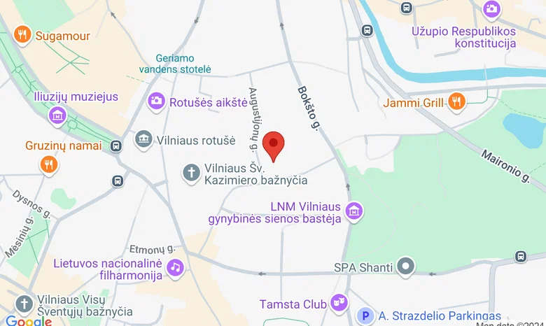 Vilniaus Vytauto Didžiojo gimnazija žemėlapis