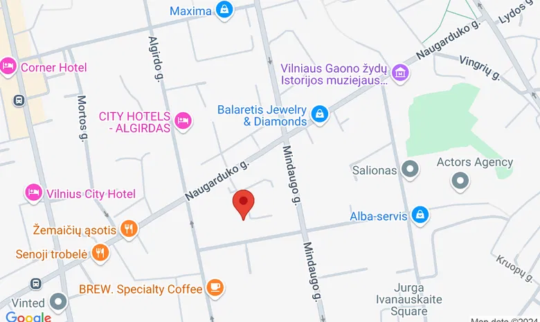 VU Matematikos ir informatikos fakultetas žemėlapis