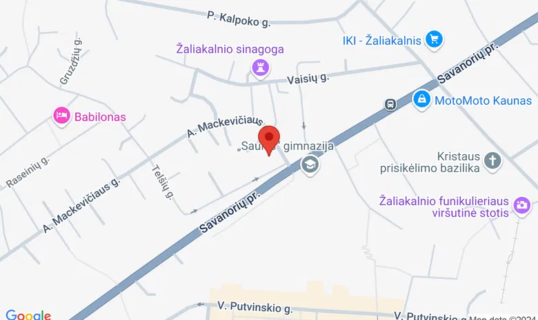 Saviugdos studija Yin - Yang žemėlapis