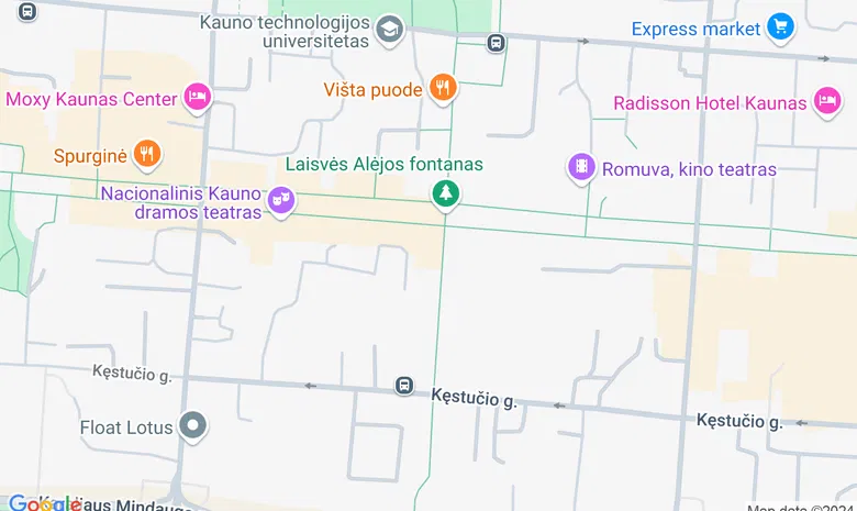 Kauno Vinco Kudirkos viešoji biblioteka žemėlapis