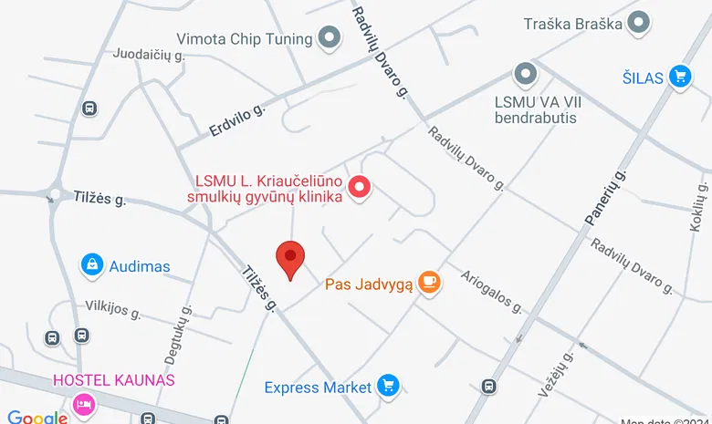 LSMU Veterinarijos akademija žemėlapis