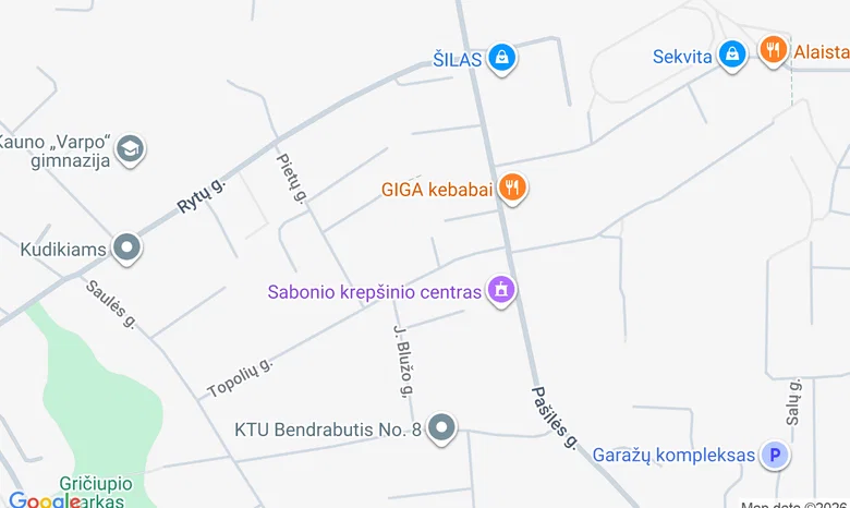 Alytaus šv. Benedikto gimnazija žemėlapis
