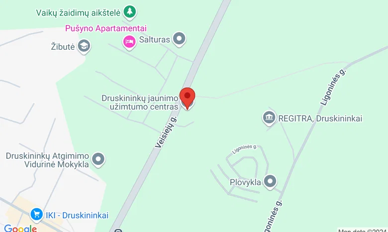 Druskininkų jaunimo užimtumo centras žemėlapis