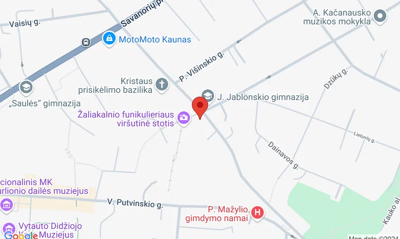 Žemaičių g. 29 žemėlapis