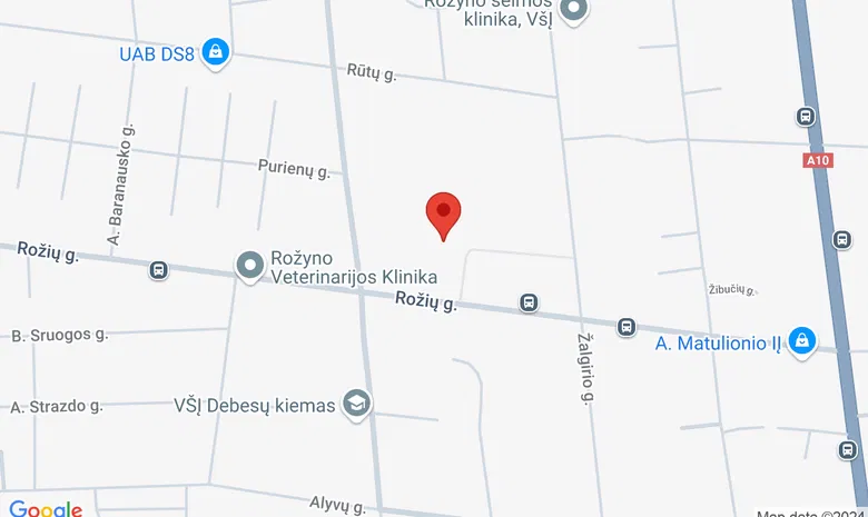 Panevėžio Rožyno progimnazija žemėlapis