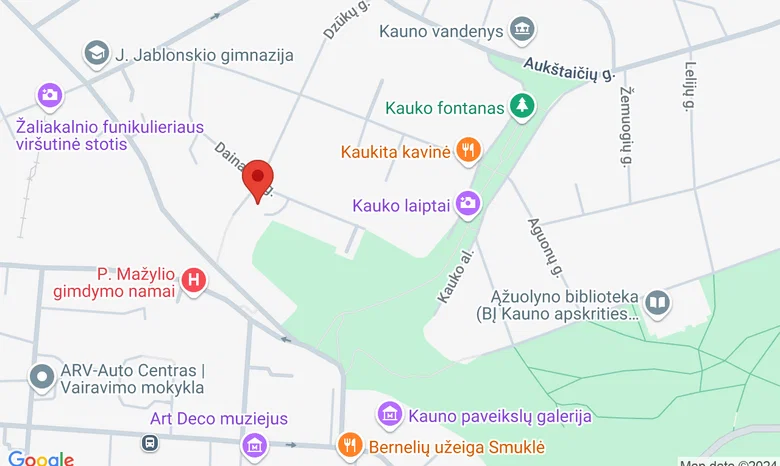 Kauno Dailės Gimnazija žemėlapis