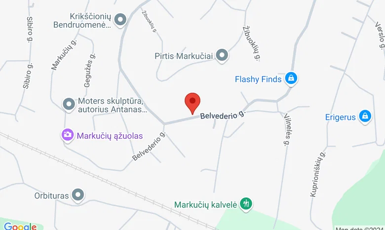 Viešojo transporto stotelė „Markučiai“ žemėlapis