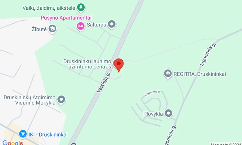 Druskininkų socialinių paslaugų centras žemėlapis