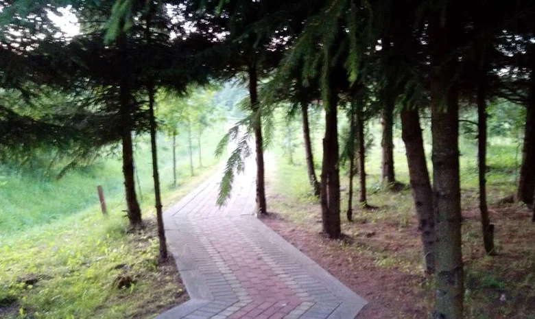 Naujoji Gokula, Kiaunariškių kaimas