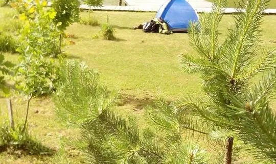 Naujoji Gokula, Kiaunariškių kaimas