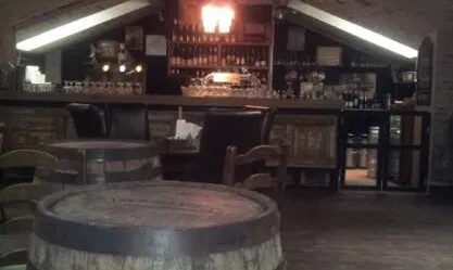 Alaus Studija