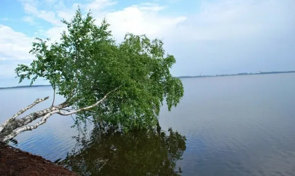 Rėkyvos ežeras