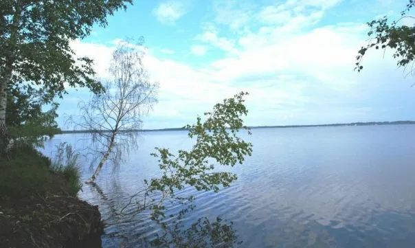 Rėkyvos ežeras