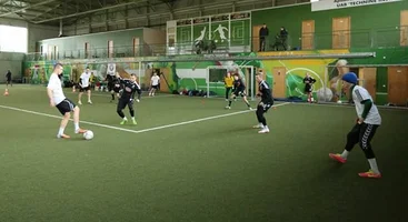 Lietuvos sporto universitetas