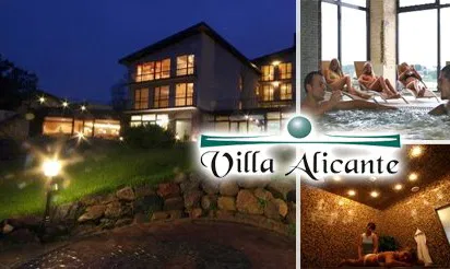 Vila Alicante