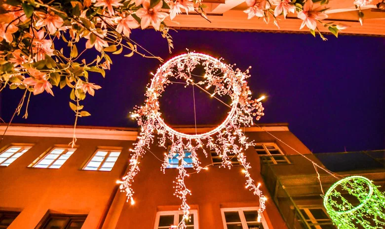 Vyninė Taurės ir dešros, Dominikonų 11