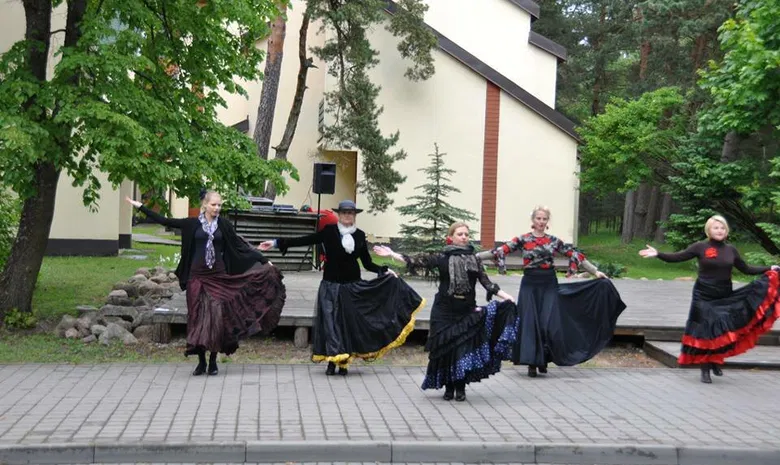 Šok Flamenko - šokių studija