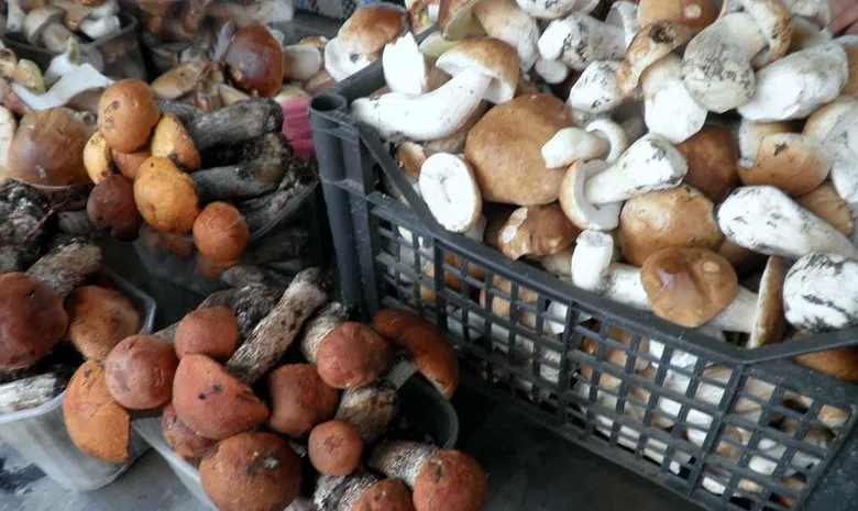Naujasis turgus
