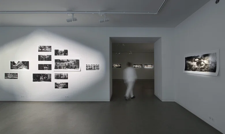 Prospekto Galerija