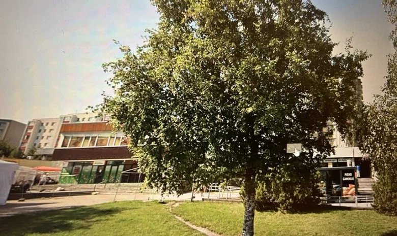 P. Lukšio 58