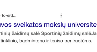  LSMU Sportinių žaidimų salė