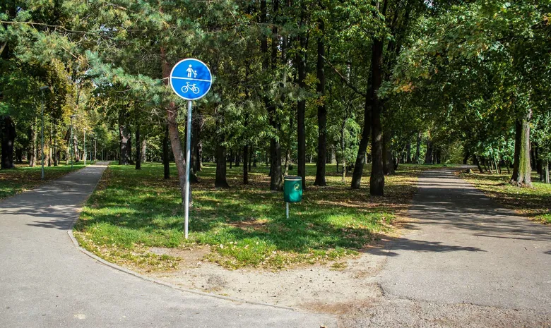 Ąžuolynas