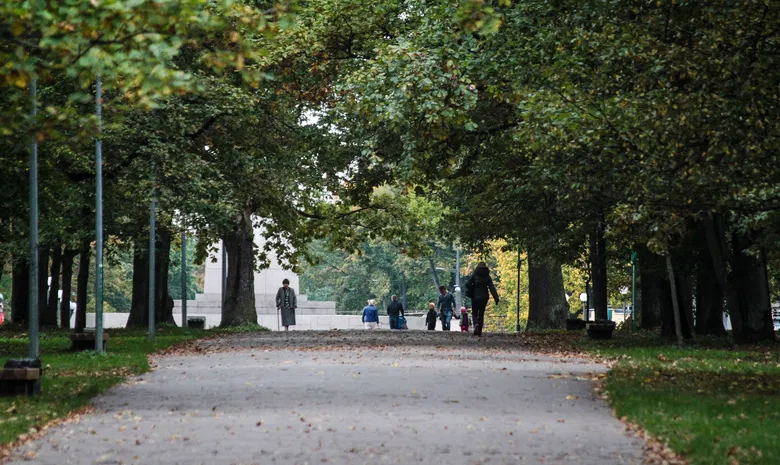 Ąžuolynas
