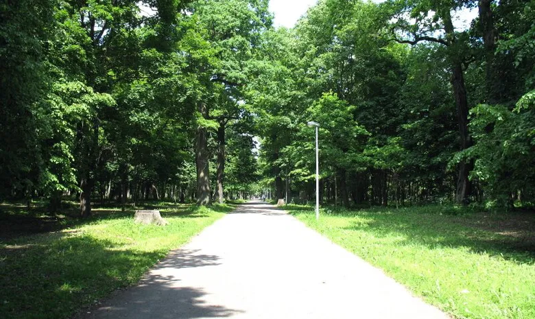 Ąžuolynas