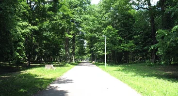 Ąžuolynas