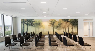 BMI Executive Institute