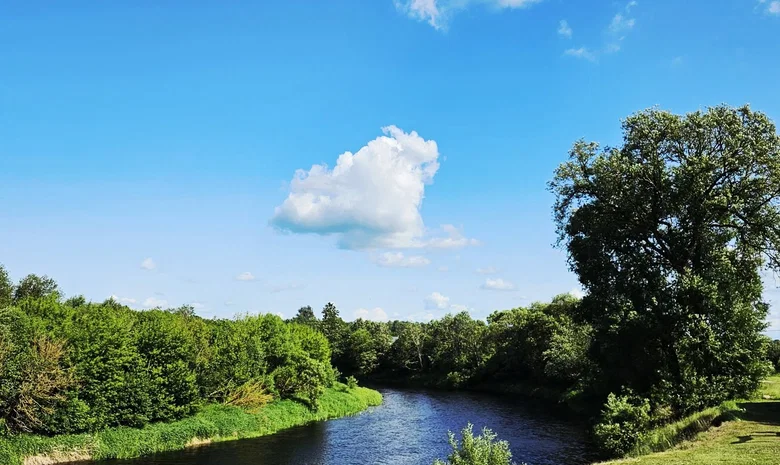 Sodyba Surviliškyje, Kėdainių rajone