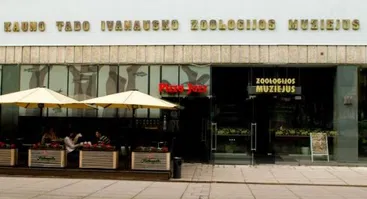 Kauno T. Ivanausko zoologijos muziejus