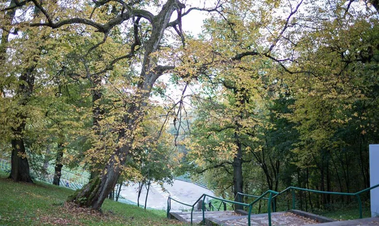Dainų slėnis