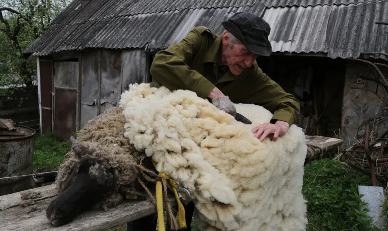 Grafų Umiastovskių rūmai