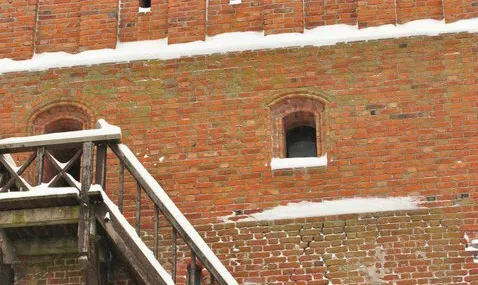 Trakų pilis