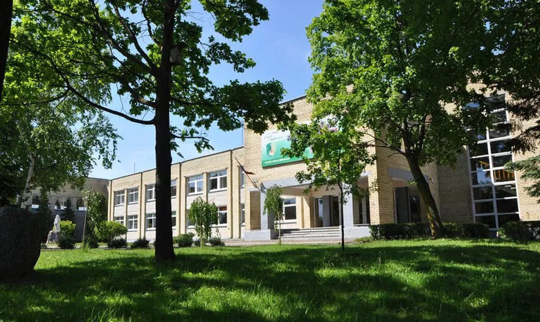 Kauno Rokų gimnazija