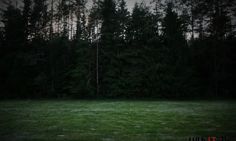 Rakonių miškas, Pirtininkų g.