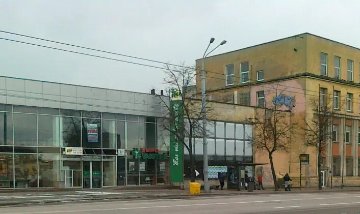 Švitrigailos g. 29