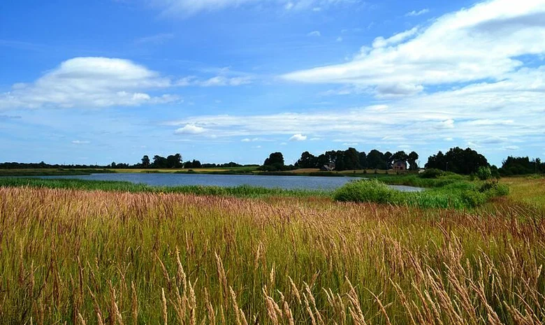 Pėdžiai