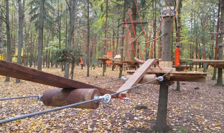 Orangutanas